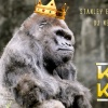 KingKong Rmx